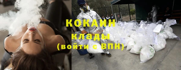 прущие грибы Надым