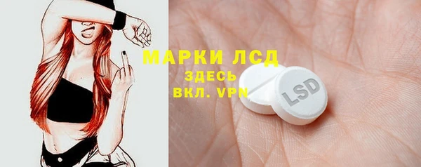 прущие грибы Надым