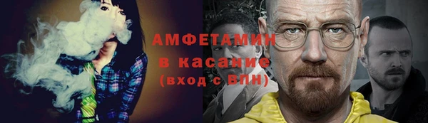 прущие грибы Надым