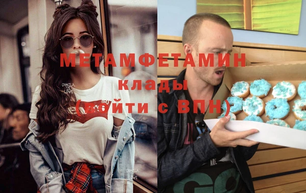 прущие грибы Надым