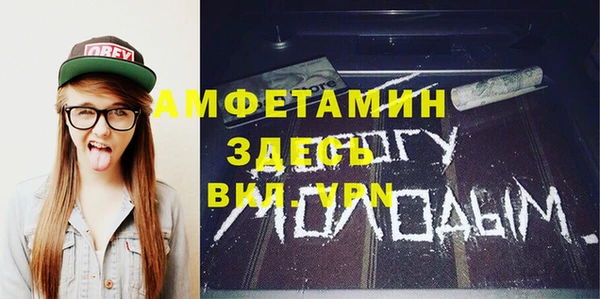 прущие грибы Надым