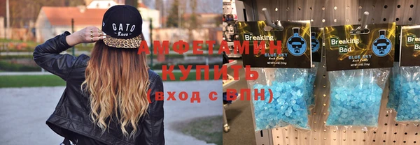 прущие грибы Надым
