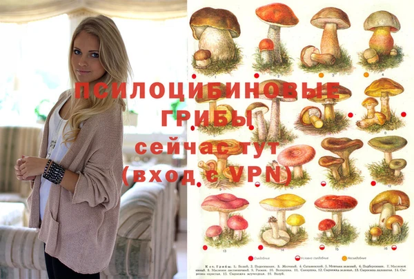 мет Нея