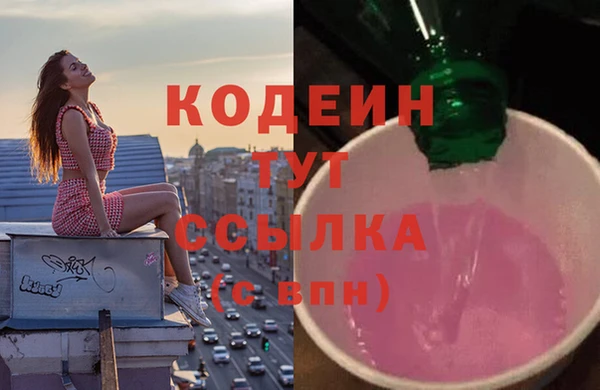 прущие грибы Надым