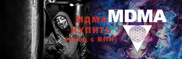 прущие грибы Надым