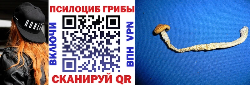 Галлюциногенные грибы прущие грибы  mega как зайти  Ленск  как найти закладки 